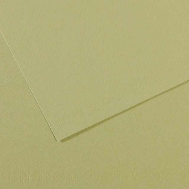 MI-TEINTES 480 LIGHT GREEN 19X25