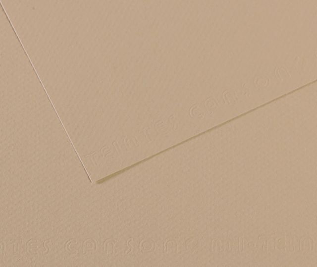 MI-TEINTES 343 PEARL 8.5X11