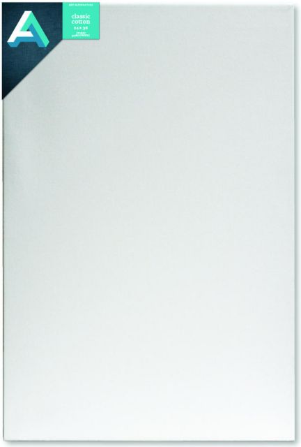 CANVAS STUDIO 24X36