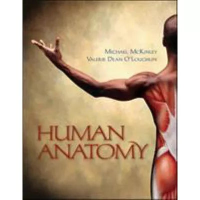 Human Anatomy