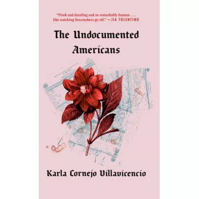 Undocumented Americans