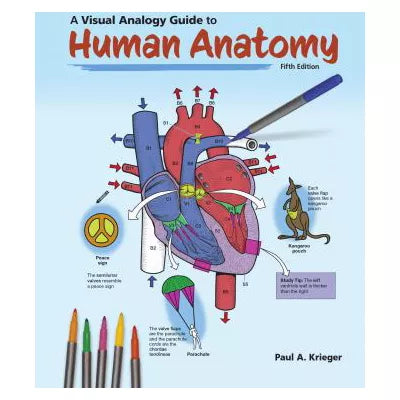 Visual Analogy Guide to Human Anatomy
